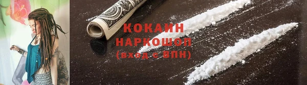 трава Карпинск