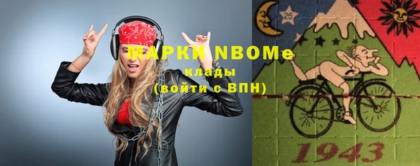 трава Карпинск