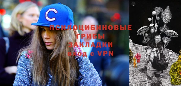 трава Карпинск