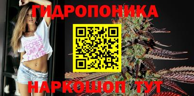 бошки Гусев